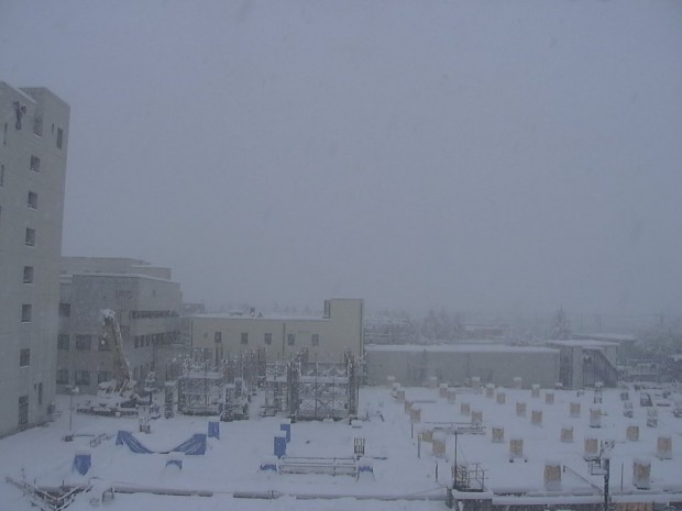 【20140208】大雪②